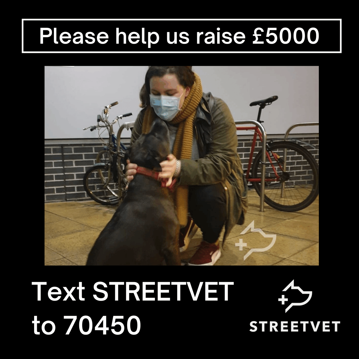 Sadly, the need for our service &amp; provision have increased whilst our veterinary costs have doubled &amp; in some months tripled over lockdown.

We have set a target of £5k to help cover some of our #Lockdown 3.0 veterinary costs.

👉 text STREETVET5 to 70450 to donate £5

Thankyou