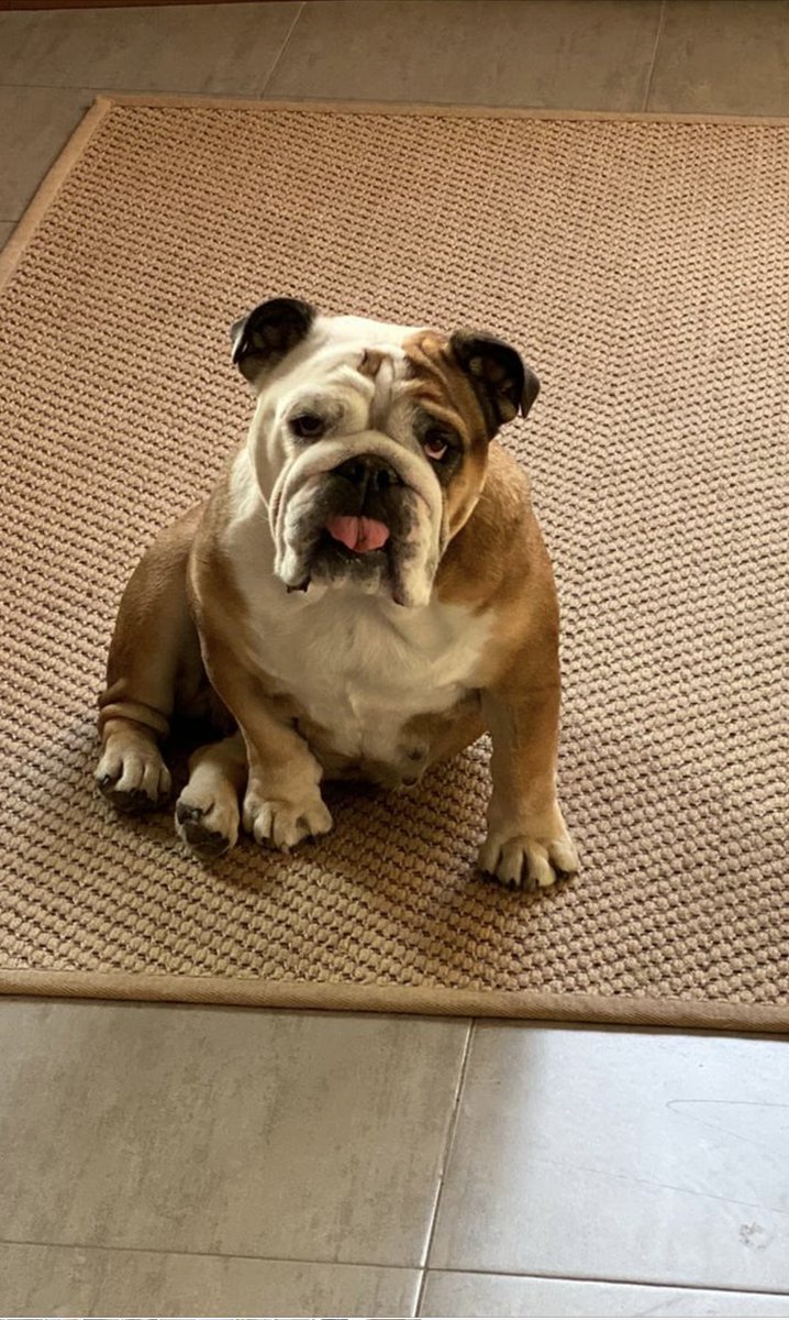 MARINA 🍎 tweet media