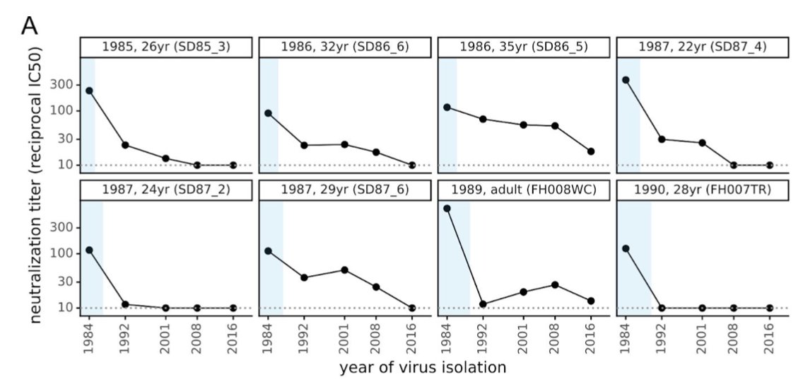 Likewise, they find antibodies in historical samples are progressively less effective against more recent viruses (below left), much like flu responses are less effective against strains that circulated before individuals were born (below right, from  https://journals.plos.org/plospathogens/article?id=10.1371/journal.ppat.1008635) 4/