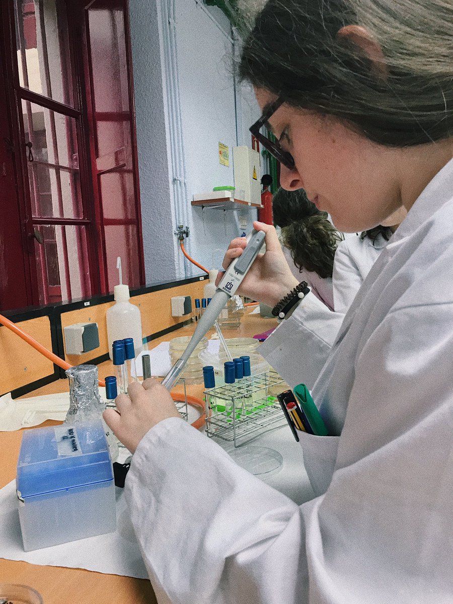 𝑖𝑧𝑎𝑟𝑜 tweet media