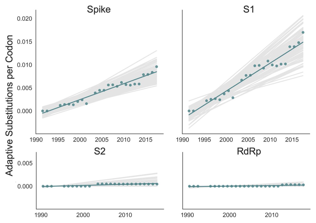 Second, it's worth reading this paper by Katie Kistler and  @trvrb, which provides evidence of adaptive evolution in spike protein of two seasonal coronaviruses (OC43 and 229E), as we'd expect if virus was undergoing antigenic drift.  https://elifesciences.org/articles/64509  5/