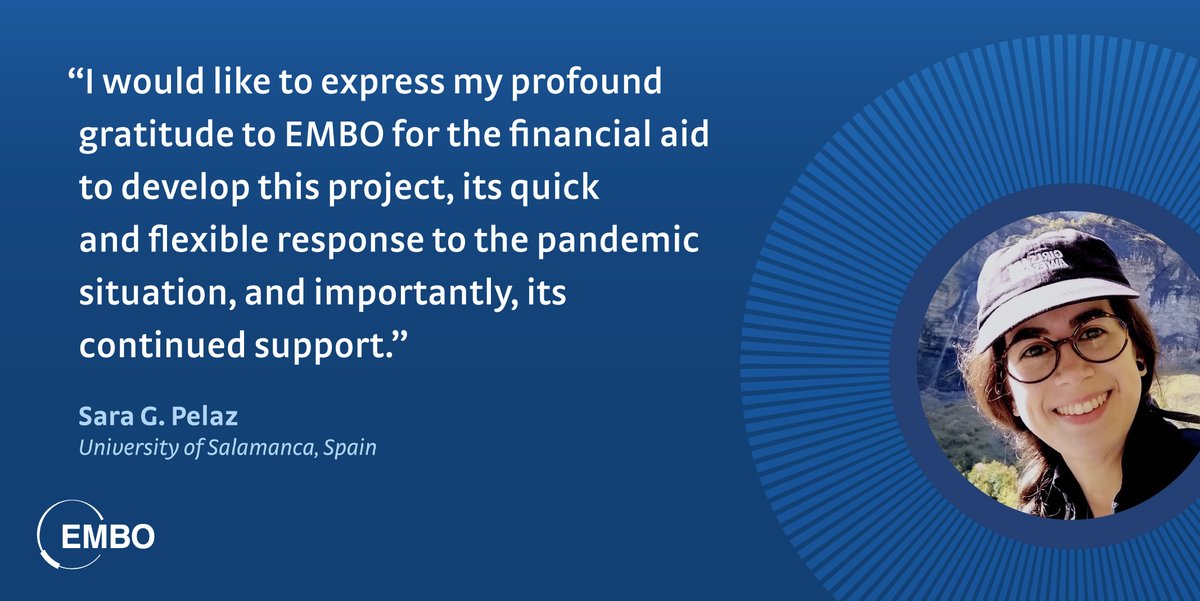 EMBOFellows's tweet photo. Thanks to @SaraNolispe, former Short-Term #embofellow, for her kind words. We've been working on adjusting our programmes to the current global situation to ensure a safe research experience. 😷 https://t.co/9dpWbFFrIz