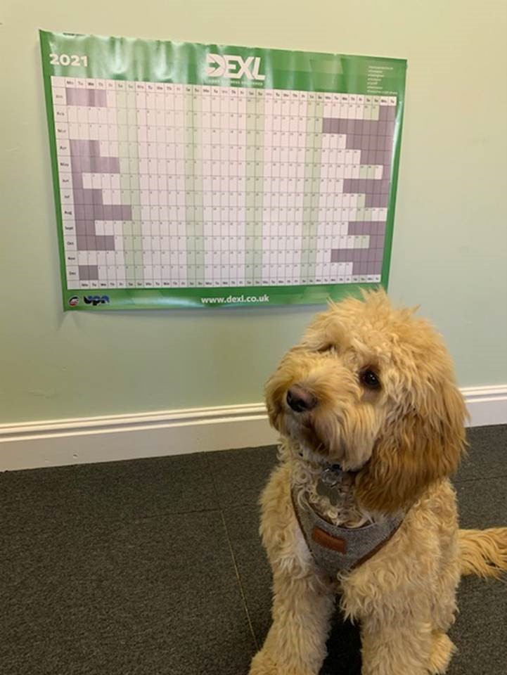 DEXLogistics's tweet image. Our #Nottingham depot seem to have a pawsome new recruit, pictured here discussing his latest ideas with the team. #YourBusinessDelivered #logistics