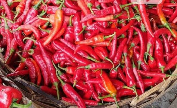 See the reasons why Yoruba love Pepper.Everyone,yes everyone in Nigeria can tell of Yoruba's undying love and sticking affection for pepper. We will talk about oil another day.One of the reasons that can be attributed to their love for Pepper