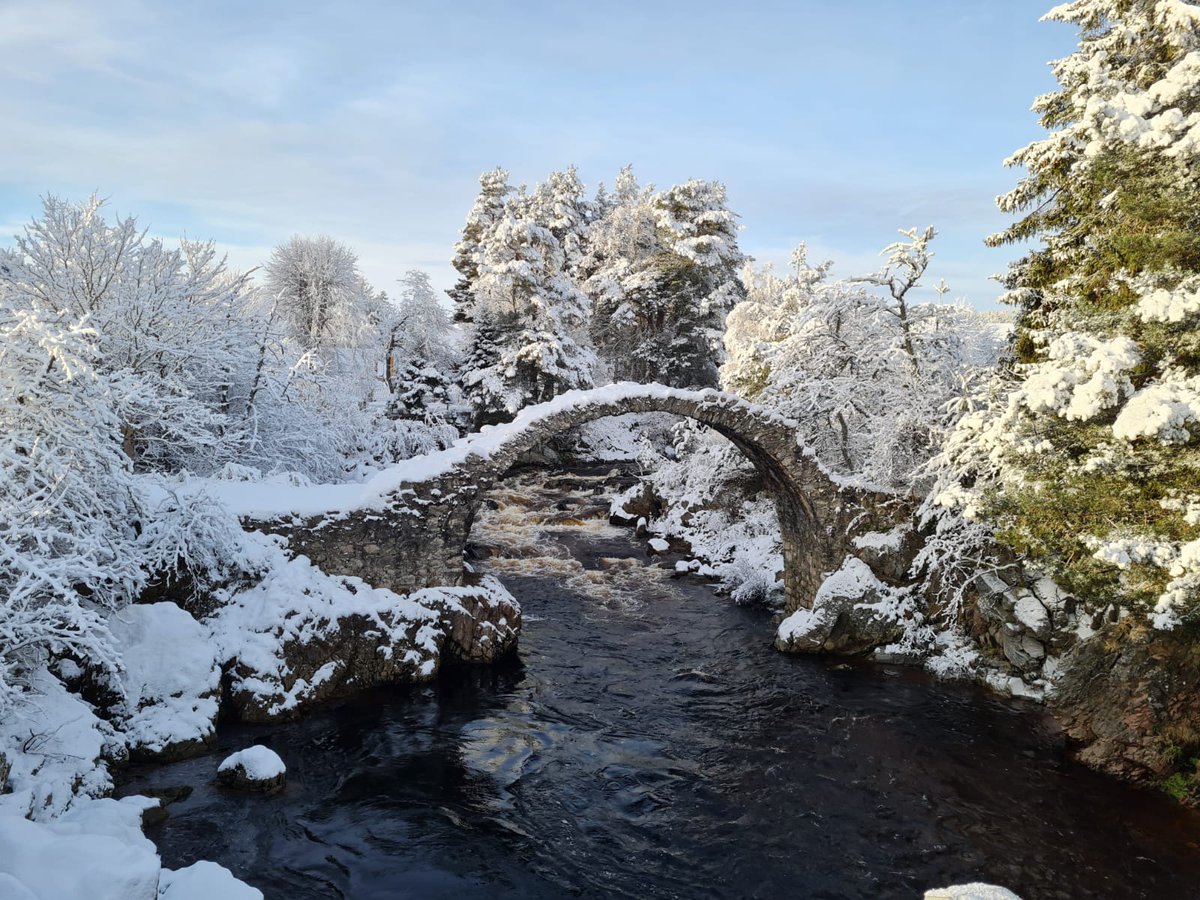 Venture out on foot and discover how winter has transformed your local surroundings.
Check out your local community path leaflet for some local inspiration right here - ow.ly/ZF2D50DwCer 

#CairngormsTogether <a href="/VisitCairngrms/">VisitCairngorms.com</a>  <a href="/visitabdn/">VisitAbdn</a>  <a href="/MoraySpeyside/">Visit Moray Speyside</a> <a href="/ForestryLS/">Forestry and Land Scotland</a>