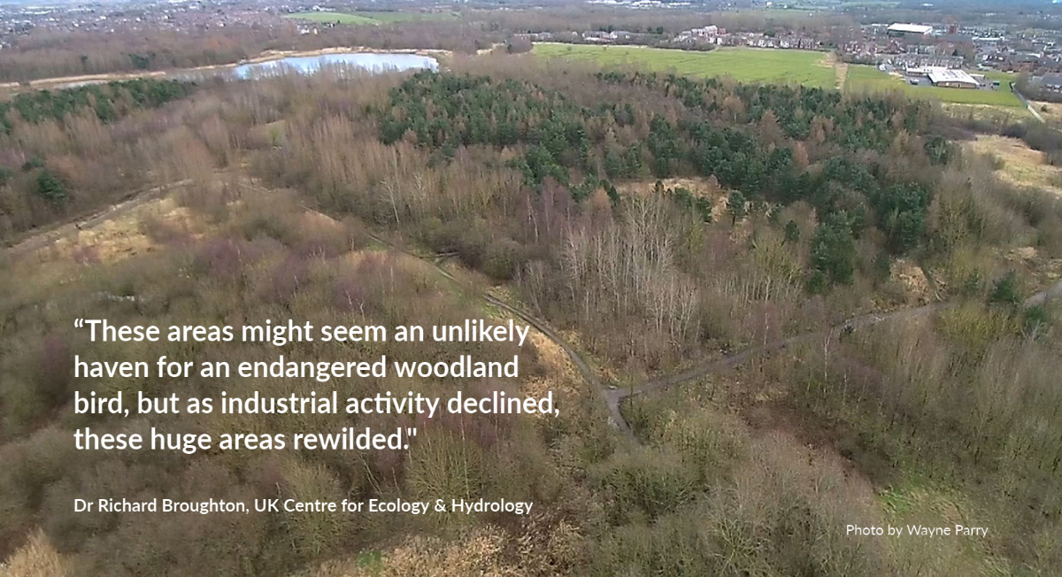 Once common from the south of England up to central Scotland, willow tit numbers have plummeted by 92% since the 1970s. The new study reveals they need ~7ha of space to thrive, which could explain their presence in large post industrial areas ceh.ac.uk/press/willow-t…