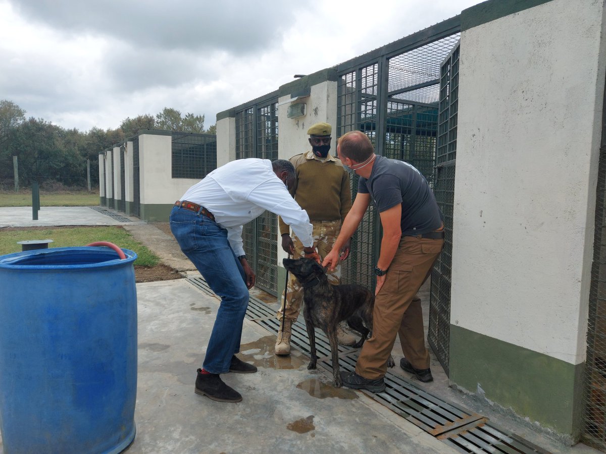 AWFCEO's tweet photo. Very happy to have toured the kennels at @KWSTI today, to see the great progress being made towards increasing capacity building among @kwskenya rangers with detection dogs. Through the #C4CP program, we aim to boost the fight against #IWT at transit points in Africa. https://t.co/feotgsuq9T