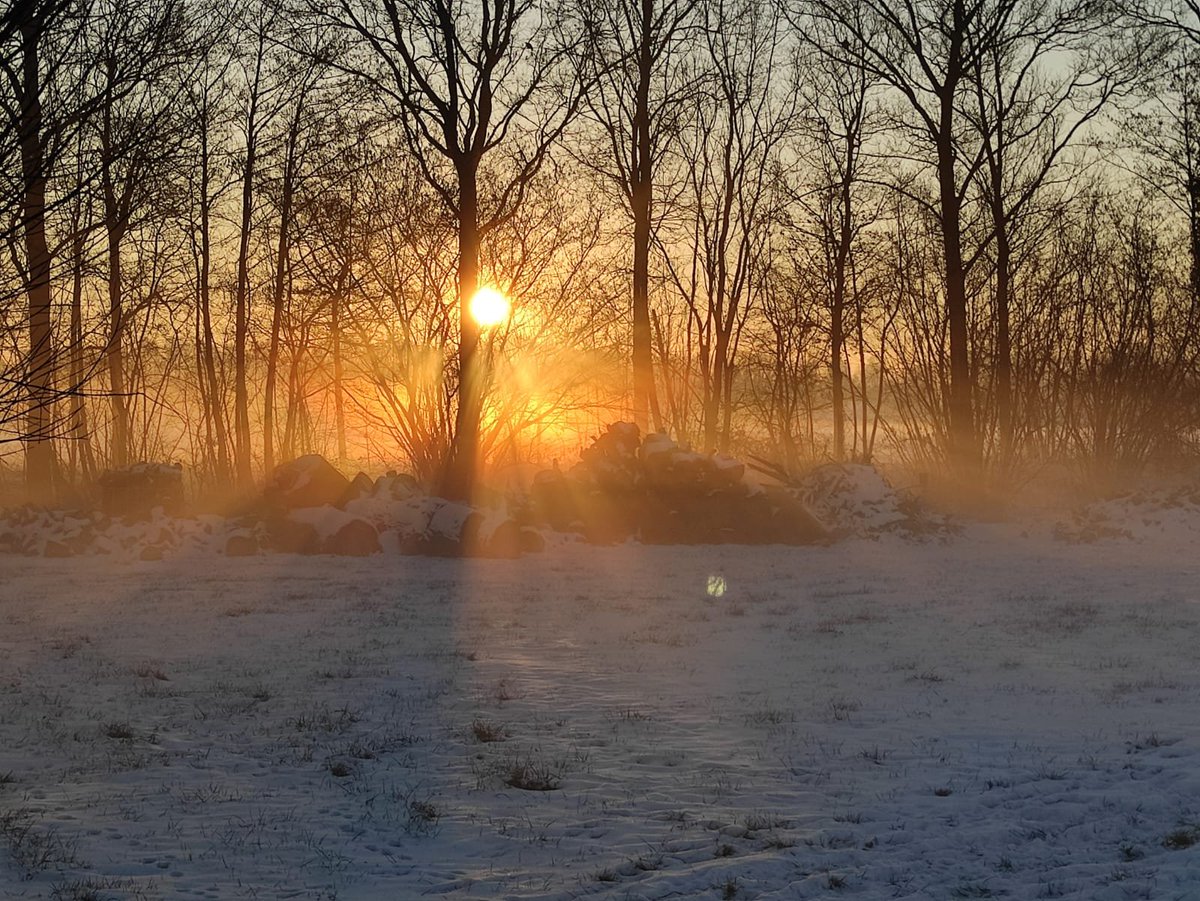 Wat was het vanmorgen prachtig. #Scherpenzeel <a href="/helgavanleur/">Helga van Leur ☀</a> <a href="/BuienRadarNL/">Buienradar</a> <a href="/WNLVandaag/">WNL Vandaag</a>