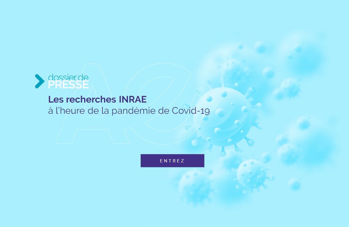 INRAE_France's tweet photo. #RP_INRAE Les recherches #INRAE autour de la #COVID19 : de la virologie à la sociologie en passant par l’épidémiologie, en appui aux politiques publiques dans la gestion de la pandémie. #OneHealth #EcoHealth
⤵️Notre dossier et le replay du point presse https://t.co/eHW4gQqRvF https://t.co/8S64xeI46Z