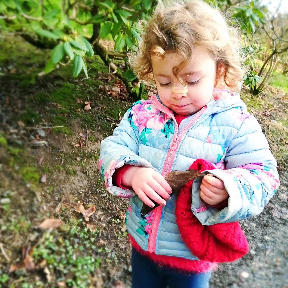 Castlehilldevon's tweet image. We love inspiring young (and old!) ones to learn about nature, our garden and woodlands are a huge natural playground. Tags us in your photos and stories, we'd like to hear your favourite places to visit and play!