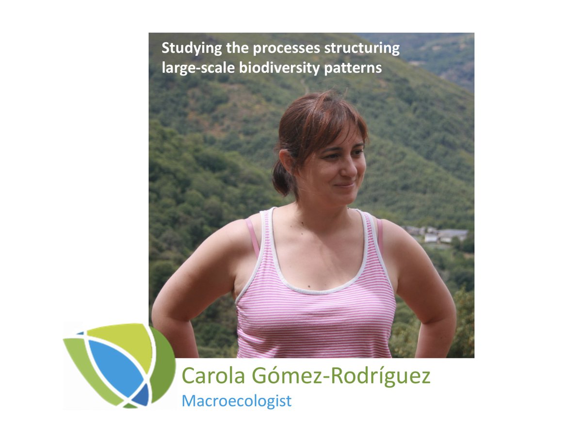 carolaUSC's tweet photo. I'm a #macroecologist at @UniversidadeUSC (@bibici_usc & @cretus_usc)
I study the processes structuring #biodiversity patterns at multiple spatial and phylogenetic scales
@madresBDV for real science-motherhood reconciliation policies
@sibecol
#11F2021 #DiaMujeryNiñaenCiencia https://t.co/VWpf1sggBv