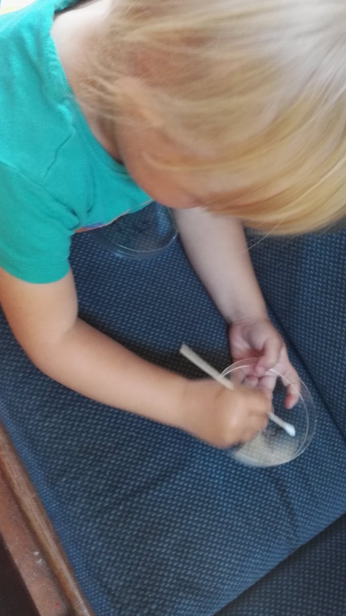 HNuuttila's tweet photo. It’s #WomenInScienceDay so here’s my daughter w/ a petridish intended for #dolphin #DNA #snotcollection @swanscience. @SEACAMS2. For many #WomenInScience is a battle between kids and career. Kids usually win. #publishorperish #marinebiologist #stem #conservation #ocean #Wales https://t.co/COyl1zUdTT