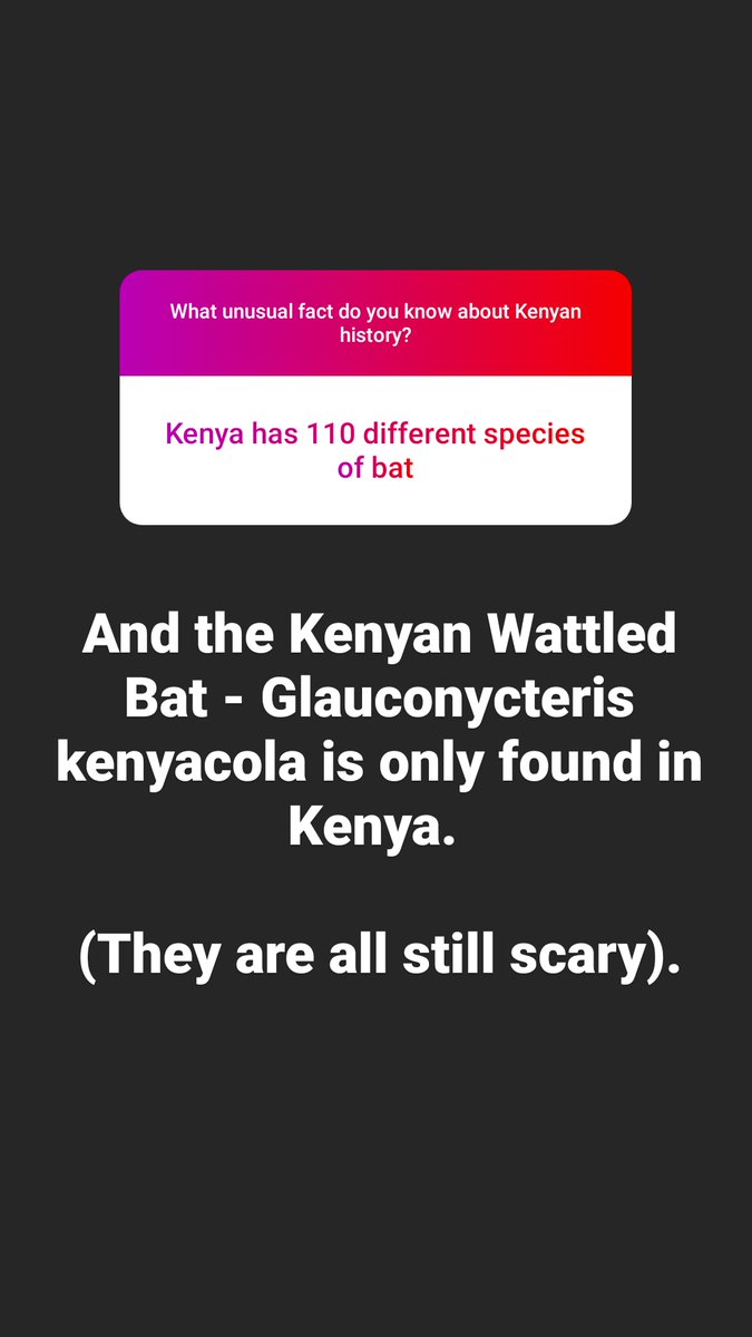 Even this is a mammal.