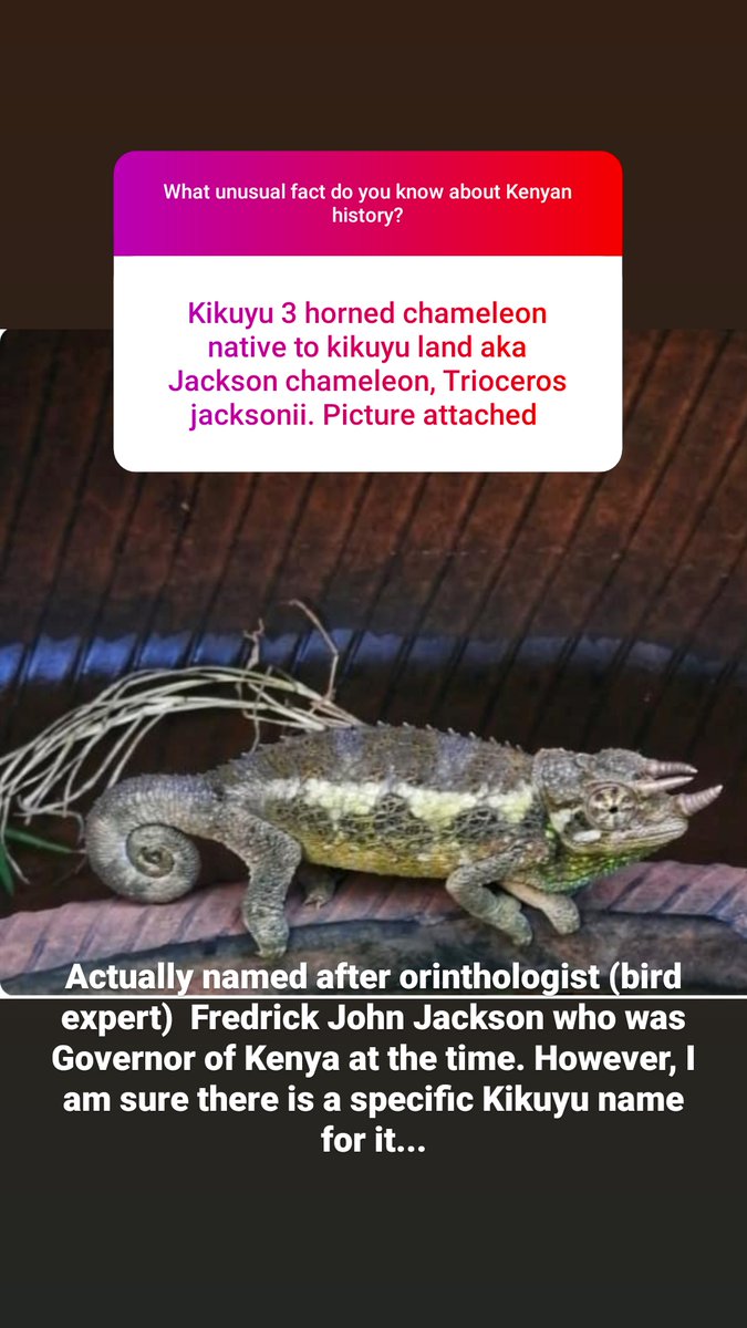 Anyone know the exact name, not the collective name?