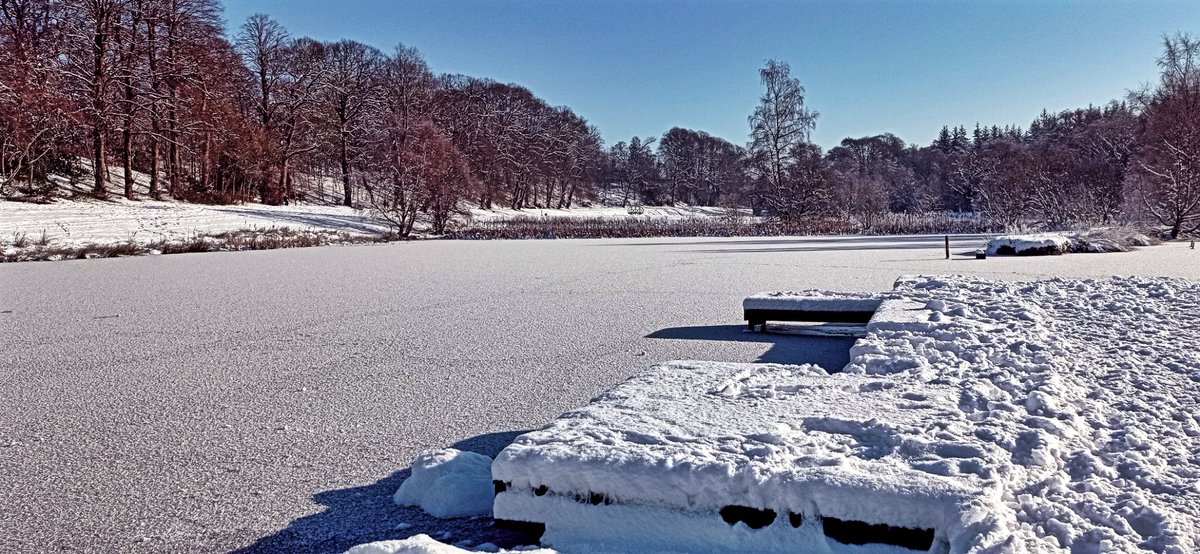 DavyTolmie's tweet photo. Callendar Park pond mostly frozen over bits cracking at side, wouldn't risk trying to walk on it #Scotland #scotspirit #ScotlandIsNow #visitfalkirk #visitscotland #Alba #Falkirk #Scotishwinter #snow #SeeingScotland #Winter #Swans #Bird #wildlife https://t.co/LzKimdS1w1