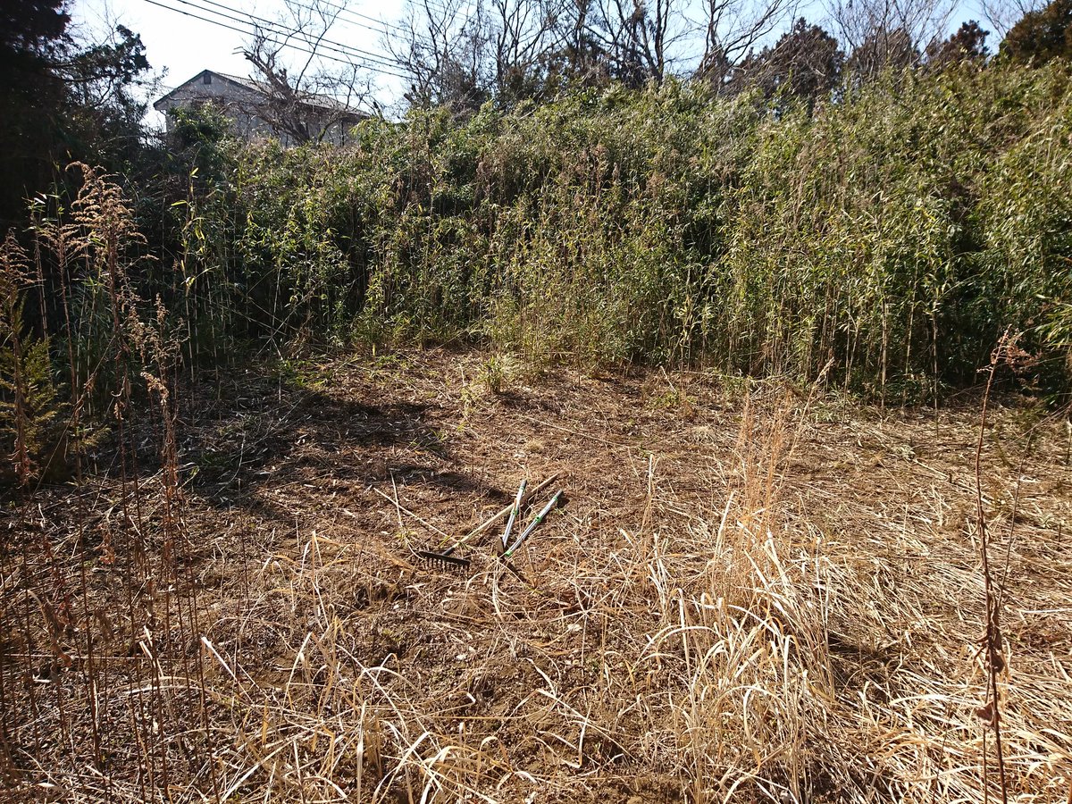 北浦軽便鐵道蕪式会社 北浦軽便鉄道作業日誌 軌道敷設予定区域の整備 ササ刈取り 土壌処理型除草剤散布 40m2 防草シート敷設 m2 次回 除草剤散布 防草シート敷設 軌道測量準備 北浦軽便鐵道蕪式会社 北浦軽便鉄道作業日誌 軌道敷設予定区域の整備 ササ刈取り 土壌処理型除草剤散布 40m2 防草シート敷設 m2 次回 除草剤散布 防草シート敷設 軌道測量準備