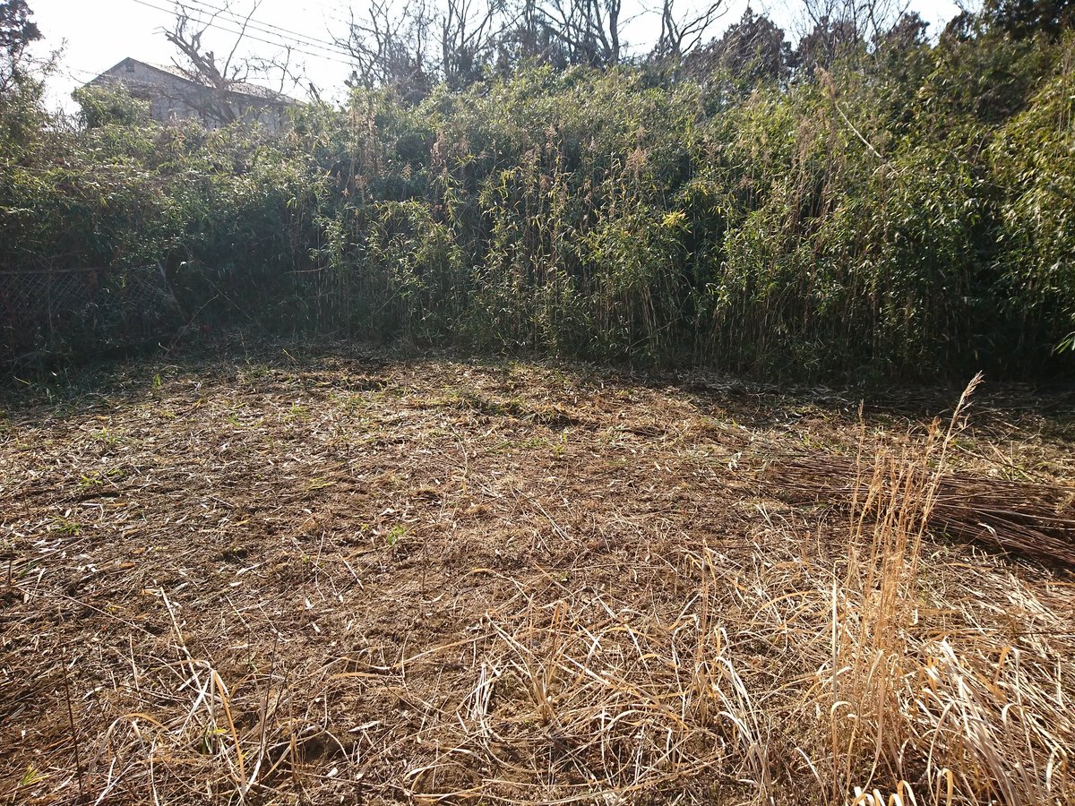 北浦軽便鐵道蕪式会社 北浦軽便鉄道作業日誌 軌道敷設予定区域の整備 ササ刈取り 土壌処理型除草剤散布 40m2 防草シート敷設 m2 次回 除草剤散布 防草シート敷設 軌道測量準備 北浦軽便鐵道蕪式会社 北浦軽便鉄道作業日誌 軌道敷設予定区域の整備 ササ刈取り 土壌処理型除草剤散布 40m2 防草シート敷設 m2 次回 除草剤散布 防草シート敷設 軌道測量準備