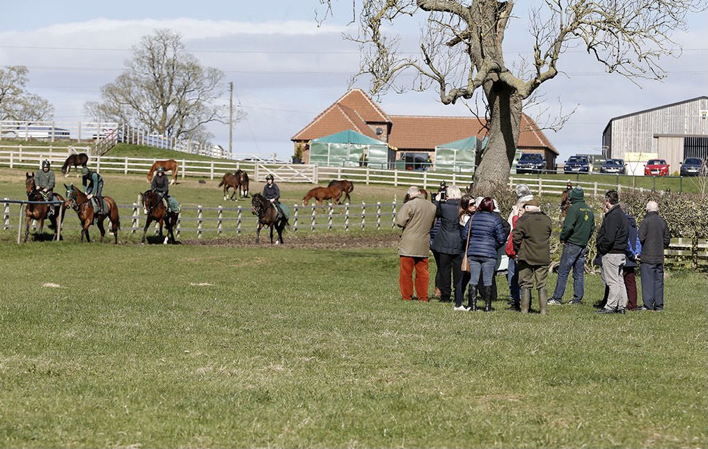 Hambleton Racing on Twitter: