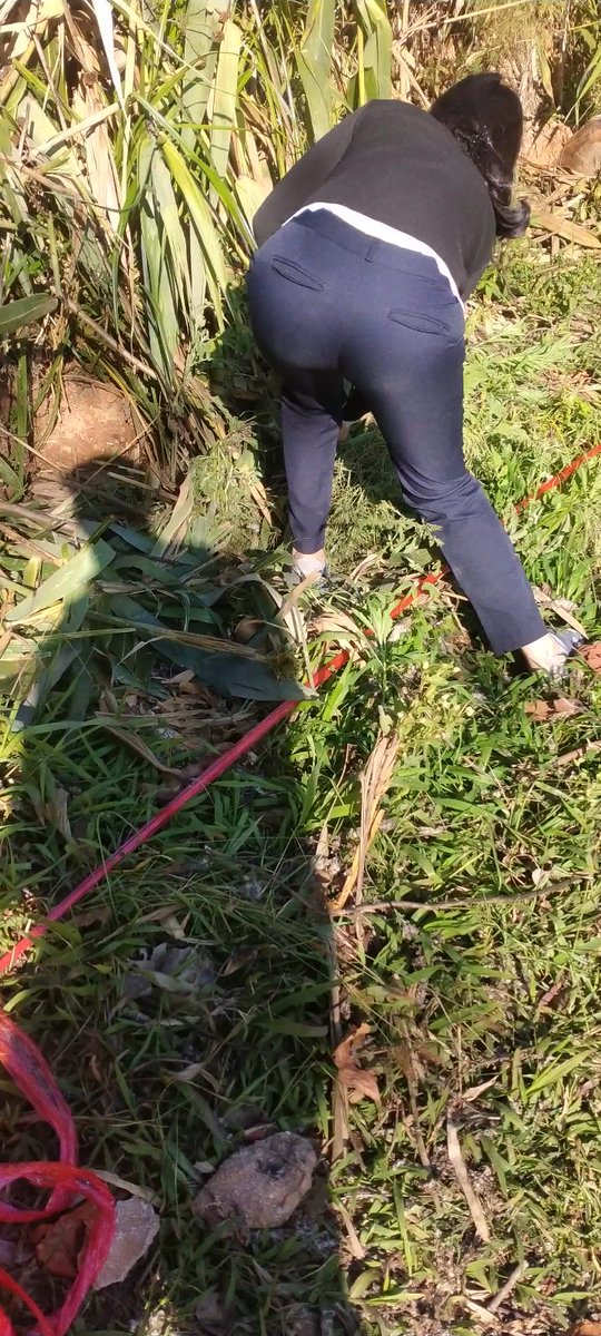 Xnxx (@xnxx43639275) on Twitter photo 