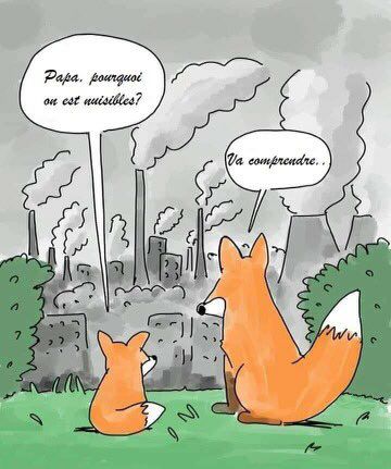 Chaww8's tweet photo. L humain soit disant civilisé , la seule espèce nuisible ,qui détruit tout .
" A Force de côtoyer des Humains , j ai fini par adorer les Animaux " ✌️💔😡
#Afleur2Peau 💔😭
#Monde2Merde https://t.co/OSNTmVS0rI