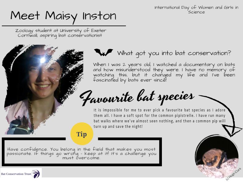 The list of fantastic women and girls working on bat conservation and raising awareness of #bats is endless. Find out more about some more bat conservationists #internationalwomenandgirlsinscienceday #February11 #WomenInSTEM #WomenInScience #LoveBats