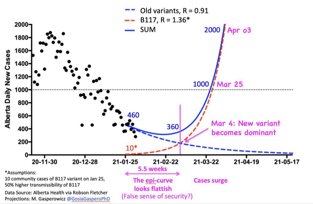 15) Here is what is going to happen... currently R is ~0.9 in many places, but with the more infectious  #B117, the R will jump ~50%. And it is inevitable (CDC & Danish & German models say this) that B117 will take over as the reigning dominant variant soon.  @GosiaGasperoPhD