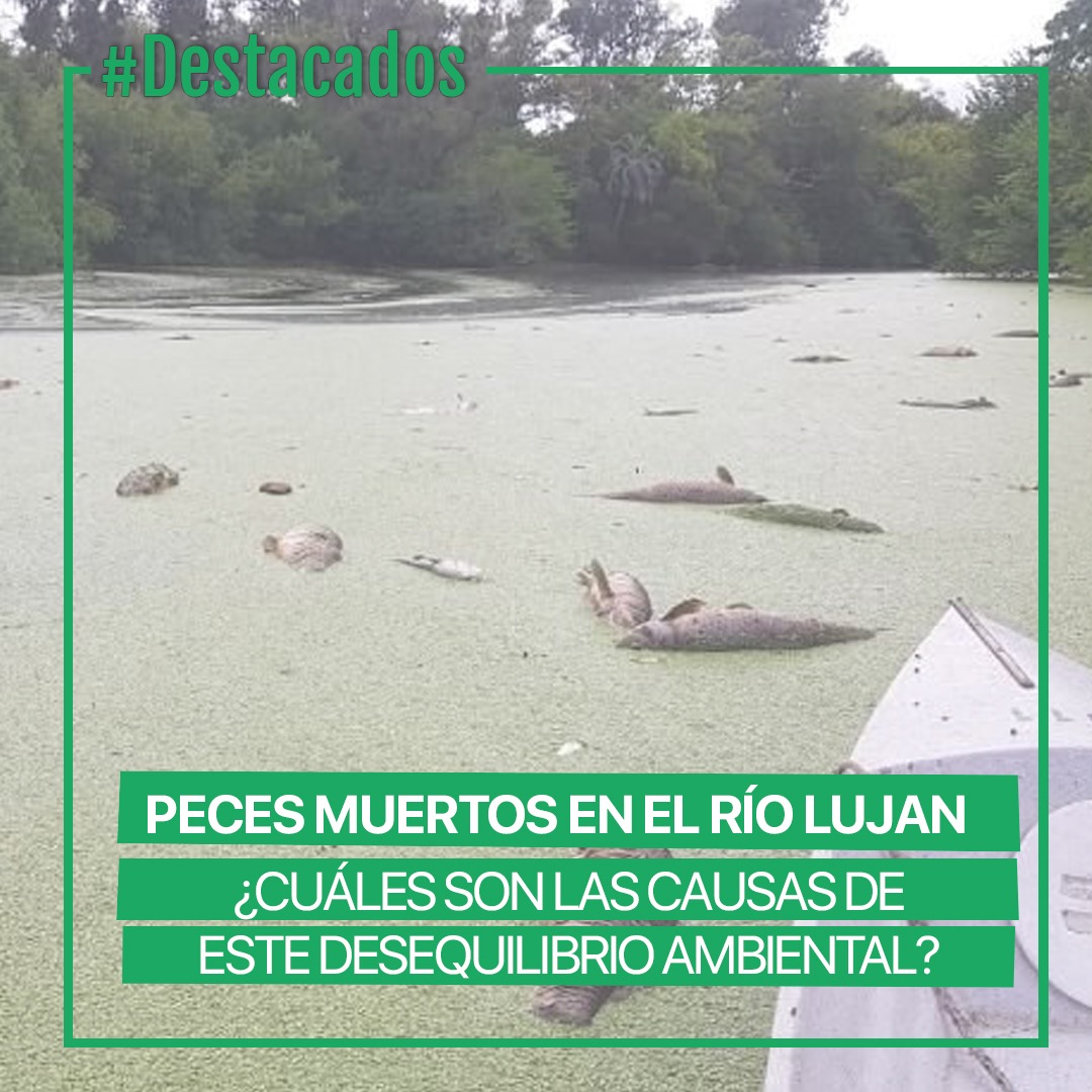 Innovar Sustentabilidad tweet media