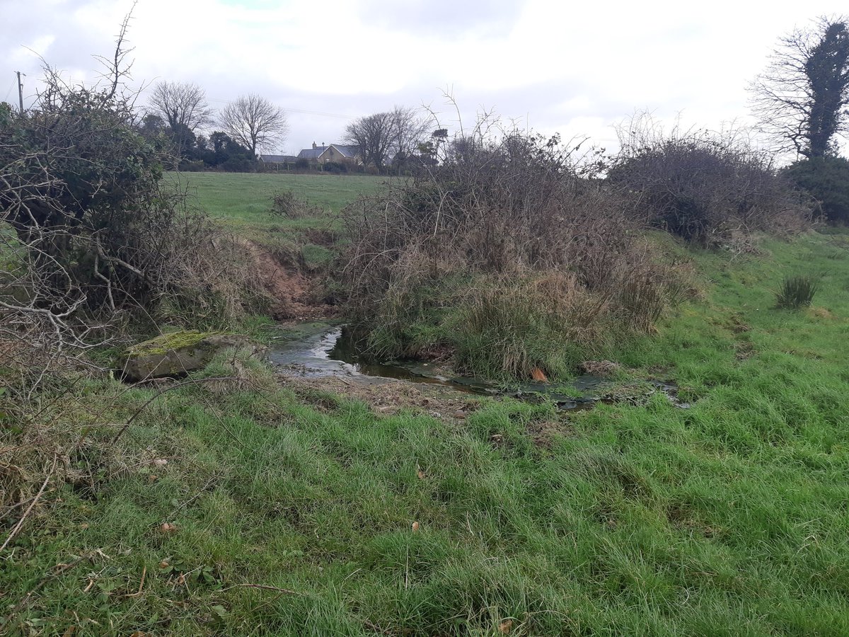 SineadKeeney's tweet image. @WcbScience Year 8 Niall Keeney's Take Notice pic for mental health week! #mentalhealth #take5 #science #nature #freezingcold #exercise #takenotice