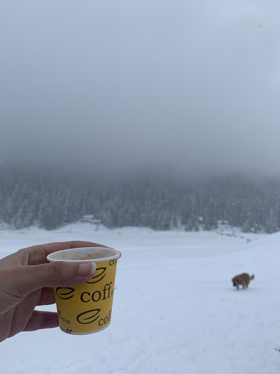 Give yourself atleast 5 days if you want to learn basics of skiing. I could only do for 3 days and honestly still craving for more. Make sure you have some form of fitness before you go.