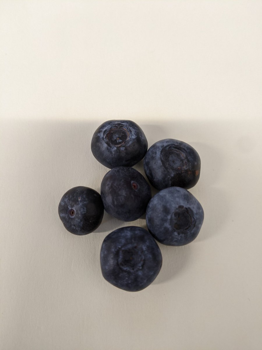 samharding's tweet photo. I don't think I'll ever be able to look at a blueberry and not think of you @becca_itd #covidmemory https://t.co/2wQiCSlvEJ