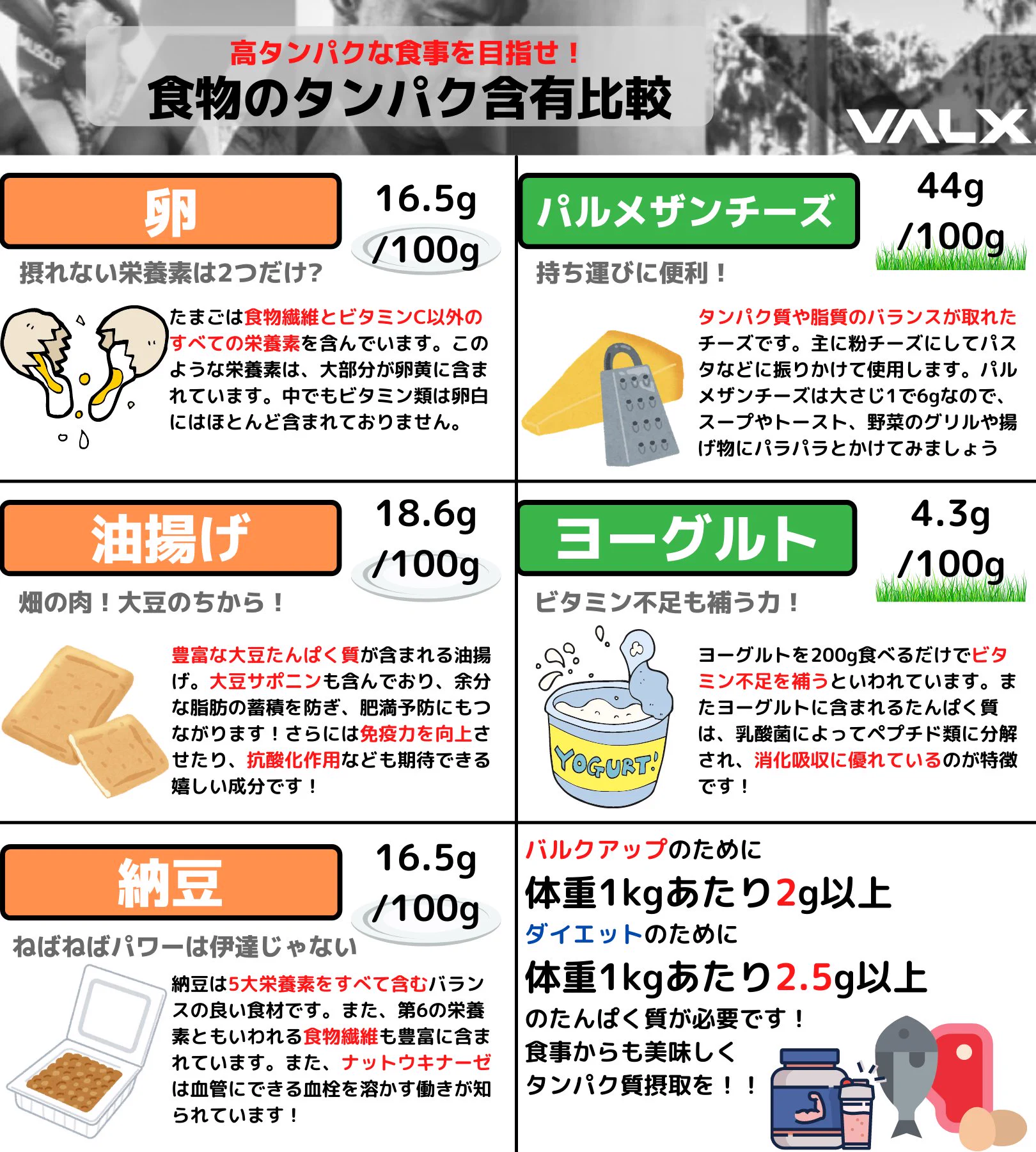 知っておくと筋トレも捗る？食材の中に含まれるタンパク質含有量まとめ！