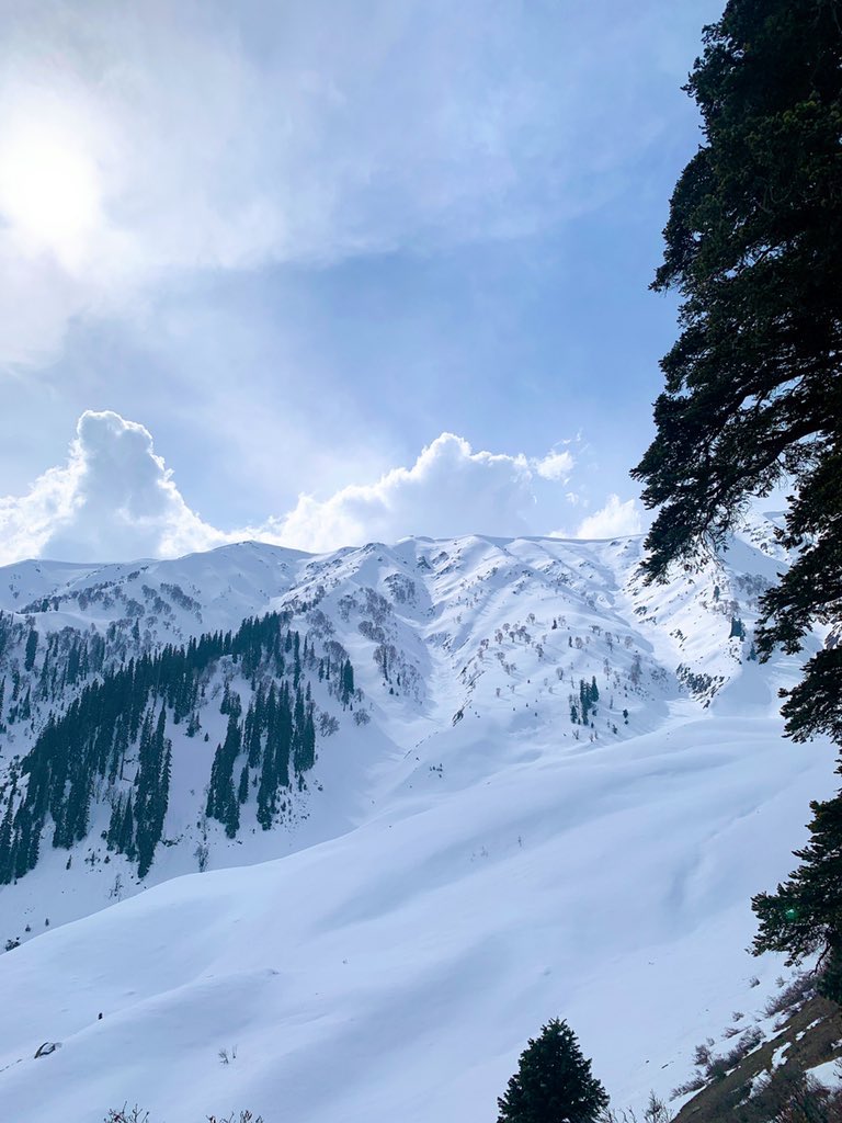 Phase 2 gondola at 14k feet is only recommended if you are in good health. Else totally avoid. Snowmobiling in phase 1 is possible for anywhere between 1500-3000 and it’s totally worth it.