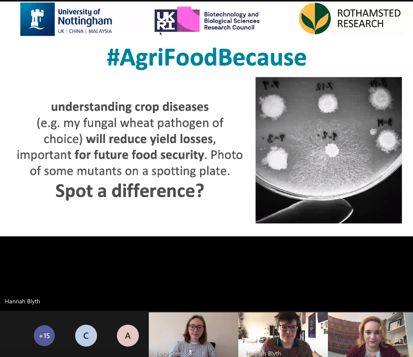 The first speaker is  @StellaRemnant from  @UoNBiosciences, based at  @Rothamsted Her picture featured a snowflake mutant of the plant pathogen, Zymoseptoria   #WomenInScience  #plantsci  #plantpathologist