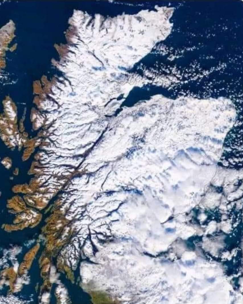 Bay_and_Bridge's tweet photo. #Scotland #February2021 #beastfaetheeast2 #lockdown #pandemic #savehospitality #WeAreScotland #wearestillopen #fifeessentialworkers #fifelife #snow https://t.co/hve21G3oVW