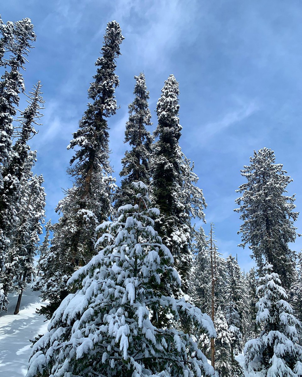 Pl carry your meds and the right clothing. A lot of tourists fell sick because they thought it’s cool to carry a bomber jacket. Layer up. Get water resistant jacket, pants and boots from Decathlon to have fun outdoors.