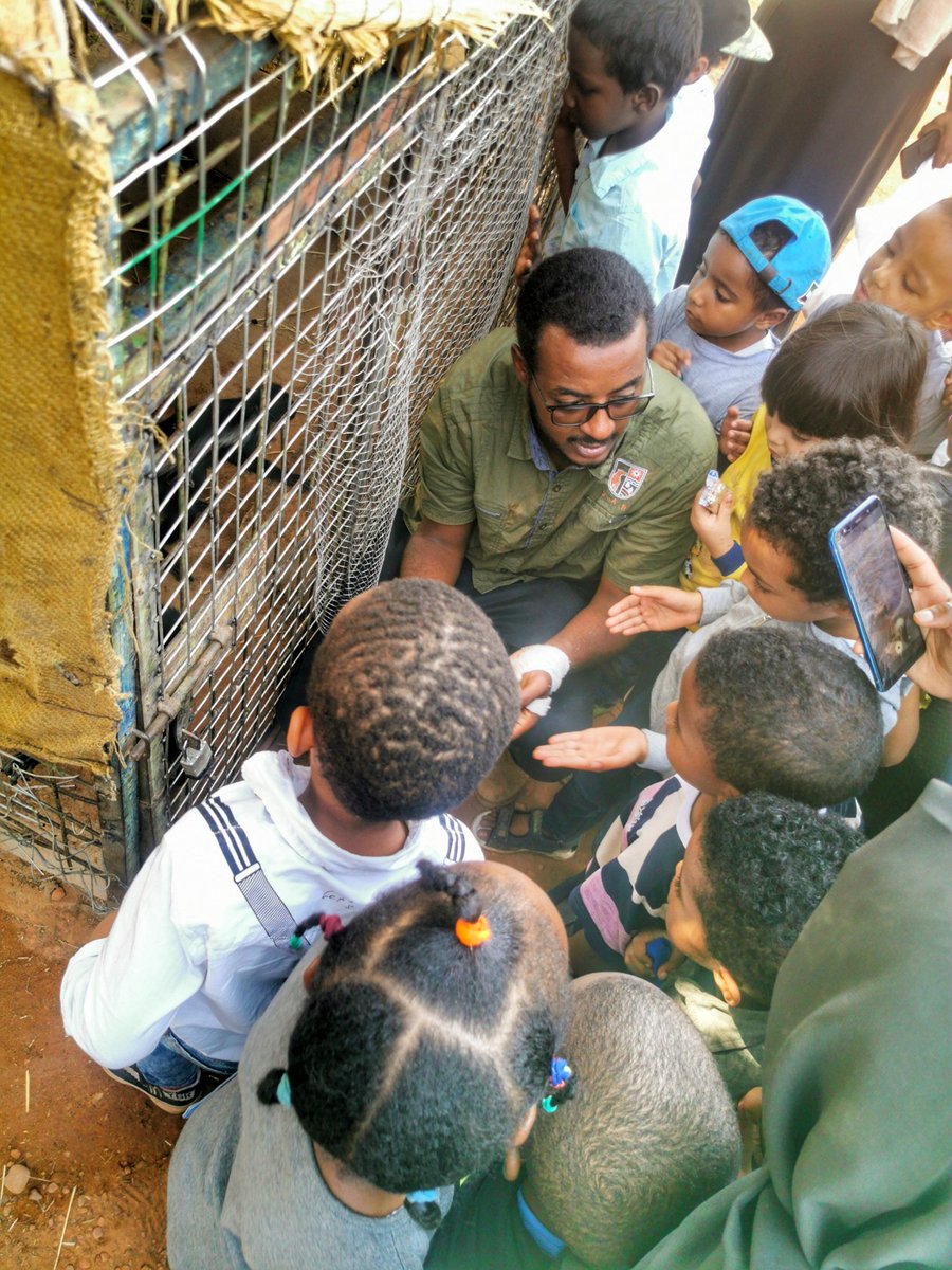 SudAnimalRescue's tweet photo. Busy Bees 🐝 Kindergarden field trip to Sudan Animal Rescue Centre 🏡 😍♥️
#SudanAnimalRescue https://t.co/wrPfBb0Zf4