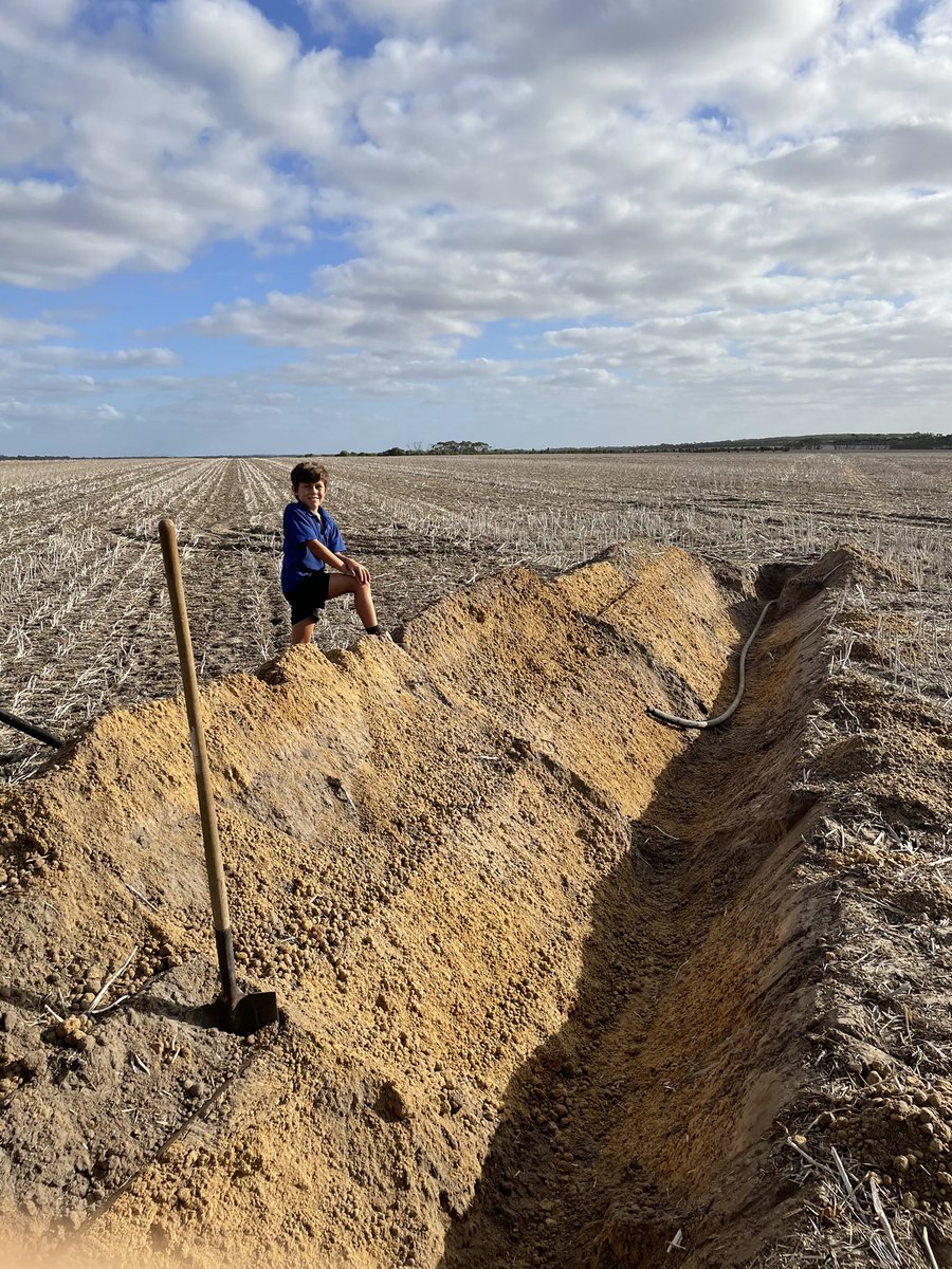 Teaching the lad how to join poly pipe you’ve just freshly ripped through at 550mm. On a side note, plenty of nice moisture down in the trench and A grade gravel 👌🏼🤣