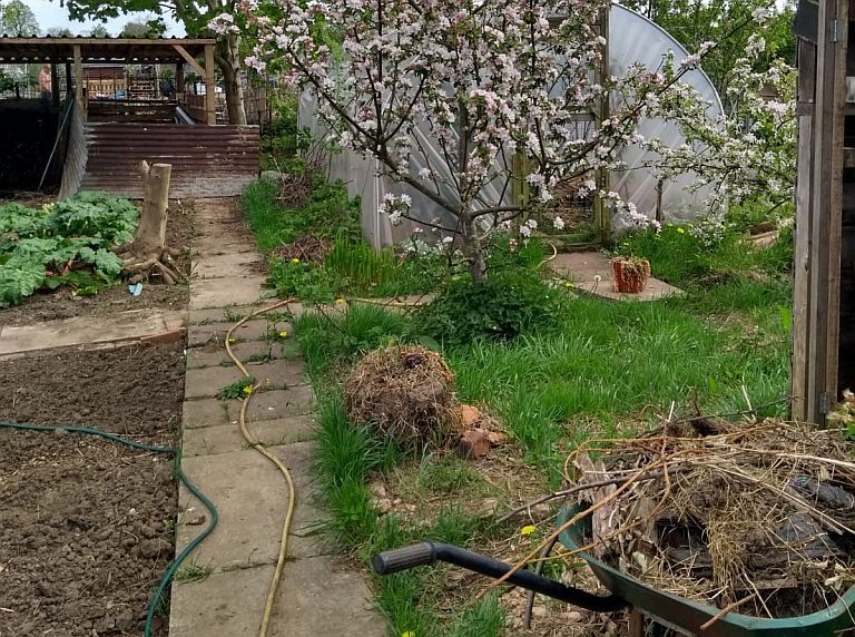 ManchesterMind's tweet photo. Food for All are really excited to be welcoming a new cohort of kitchen &amp; allotment #volunteers. We are looking forward to building new connections, growing our strong team &amp; helping more people access good food to improve their mental health &amp; well-being>>https://t.co/WIyLVkwyzV https://t.co/W5l4eH1ZUu