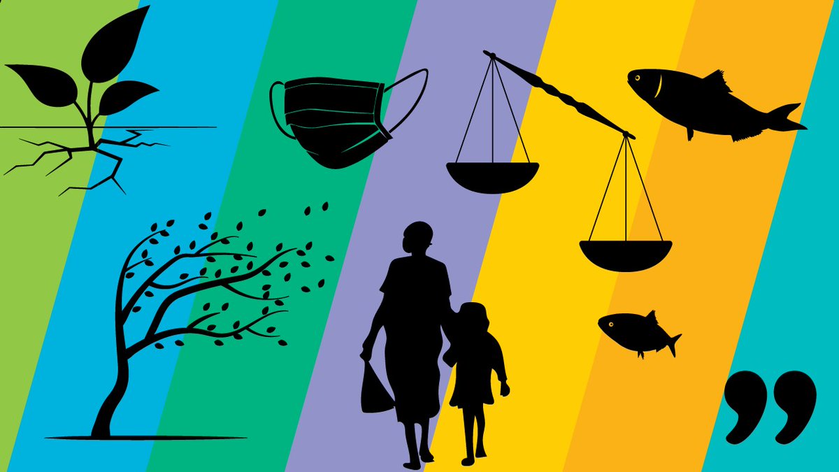 IIED's 2020 annual review comprises a series of video interviews about our work tackling global challenges.