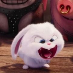 zira⁷ 🍇 tweet media