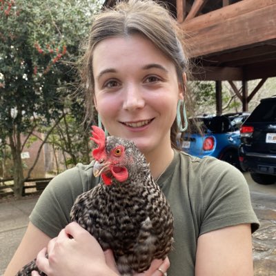 katmurph12's tweet photo. #NewProfilePic if you didn’t know I own chickens and they lay eggs, it’s my only personality trait https://t.co/GOUklGMHxE