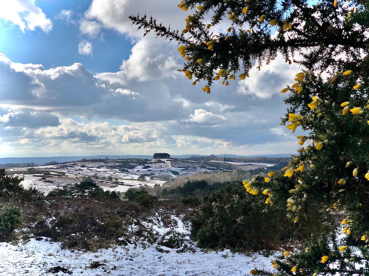 SmilingggJC's tweet photo. The last couple of days have been so much fun, running the snow dusted trails.

The conditions heighten ones senses - the wind chill on the cheeks, the crunching of snow and ice under foot, the harshness of a deep inhale on the back of the throat. https://t.co/W1AEvDbz6Z