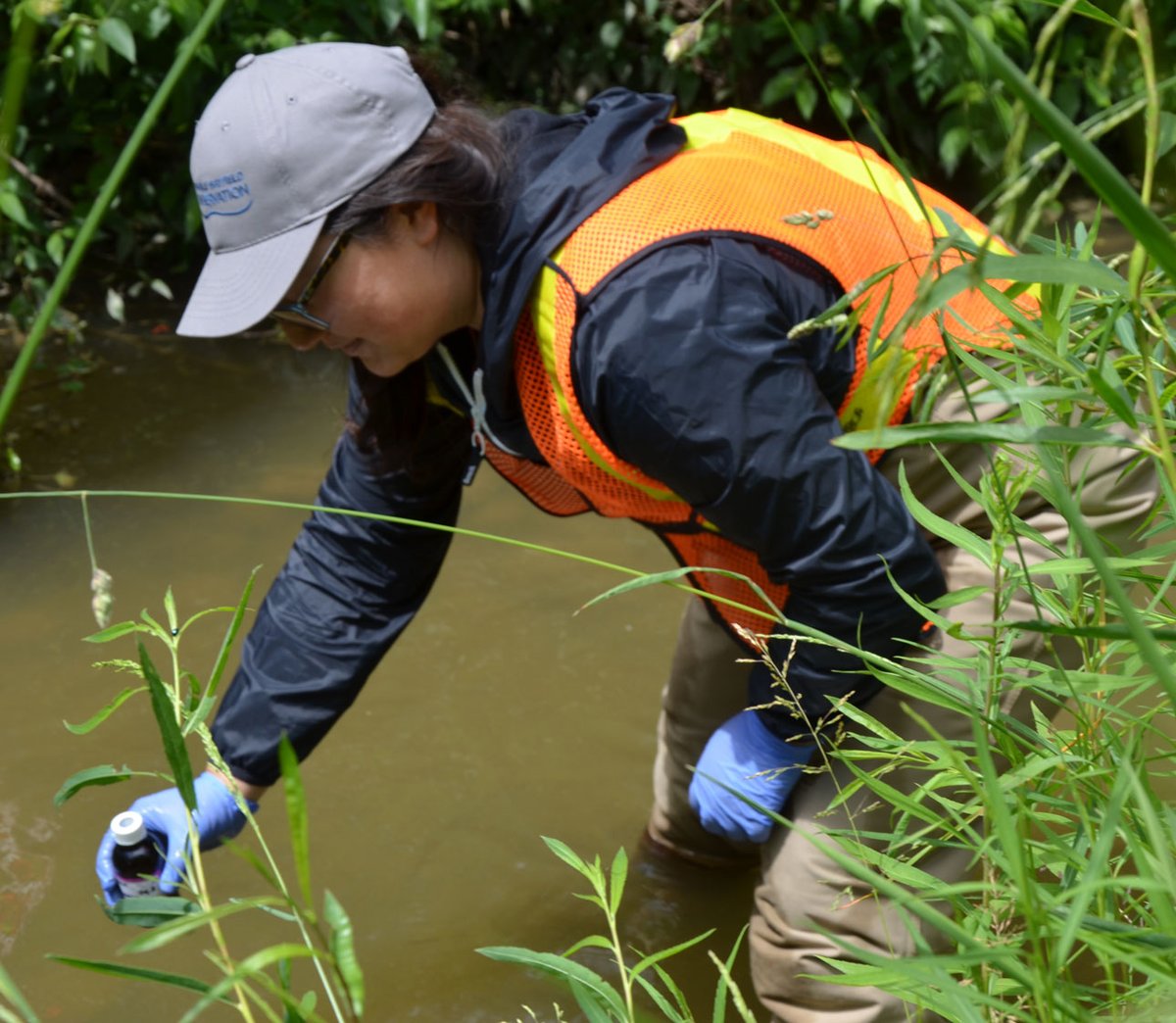 Today (International Day of Women and Girls in Science), and every day, we thank the women at Ausable Bayfield Conservation who use their command of science to learn what's happening in our watershed and how to protect and improve water and soil resources here. <a href="/WomenScienceDay/">Women in Science Day</a>
