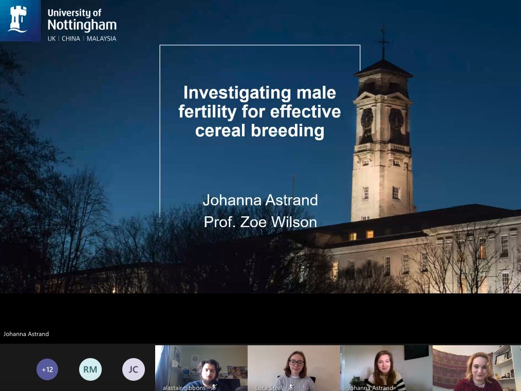 The third speaker is  @Johannaastrand1 doing an industrial PhD at  @UniofNottingham, talking about a beautiful bouquet of wheat in Cambridgeshire There is so much diversity in anther traits between different cultivars - such a beautiful plant!!!  #plantsci  #WomenInScienceDay
