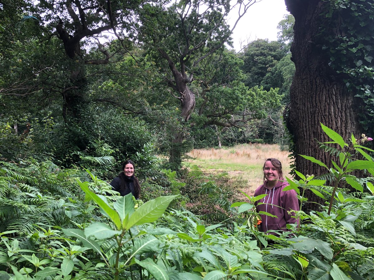 Ashton Court Estate (@ashton_court_) on Twitter photo Students volunteering with <a href="/bristolparks/">Bristol Parks</a> and My Wild Bedminster are completing nature mapping for parks in BS3 and beyond, sharing the results with <a href="/BRERC_Official/">BRERC</a> to showcase the value of parks. <a href="/BS3Community/">BS3 Community Development</a> <a href="/UWE_Env/">UWE Env&Conservation</a> <a href="/UWEVolunteering/">UWE Volunteering</a> @bat_uwe #bristolparks #candobristol Students volunteering with <a href="/bristolparks/">Bristol Parks</a> and My Wild Bedminster are completing nature mapping for parks in BS3 and beyond, sharing the results with <a href="/BRERC_Official/">BRERC</a> to showcase the value of parks. <a href="/BS3Community/">BS3 Community Development</a> <a href="/UWE_Env/">UWE Env&Conservation</a> <a href="/UWEVolunteering/">UWE Volunteering</a> @bat_uwe #bristolparks #candobristol