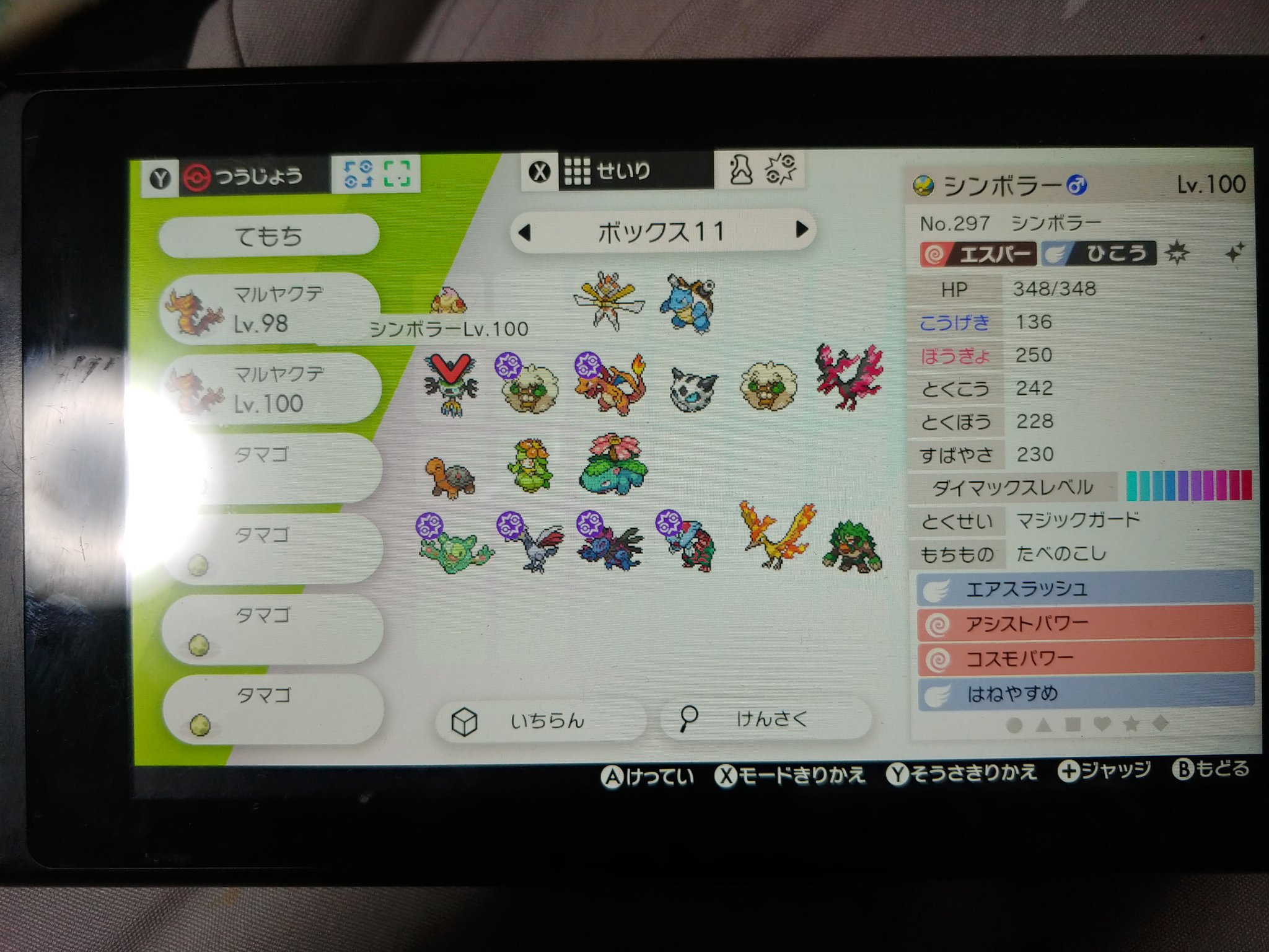 リュウ エアームド Hbぶっぱ 持ち物メンタルハーブ 起点作り兼起点回避要員 最大の目的はステロをまくことでちょうはつを防ぐためにメンタルハーブを持たせた ニックネームのちょうはつxのxはエックスではなくバツを表現したもの 特性がんじょうで基本攻撃