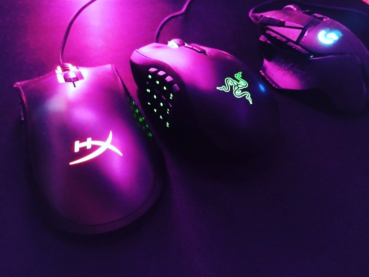 Sebastian tweet media