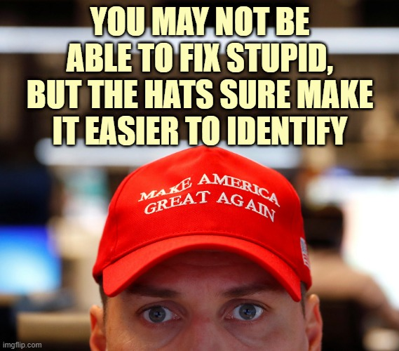 nagel_roman's tweet photo. @GrandpaSnarky @dcummingskg7dro @voteblueBiden @PeepsDeeps @nevermagats @zenlikejen71 @BabsZiegler @KarriLeighB @DoAsUWldDo2U @Bulkwiiings @RLWASHINGTONESQ @Debr1049Debra @harpyeaglesfly @ldylkngb @laurenbove @azardey3 @MisMahvash @DanLinderer #FBRParty #FBR #Resist #ResistIgnorance https://t.co/TTNtcwvIQU
