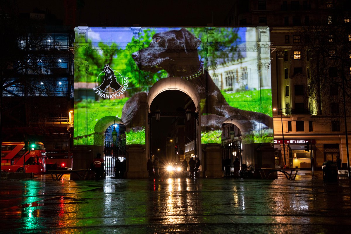 We launched a campaign for YuMOVE where we transformed famous landmarks into landbarks. The nation's dogs have played a heroic role during the pandemic, so we wanted to put them in the spotlight and say #thankyoudogs for their companionship. 150+ pieces of coverage so far...