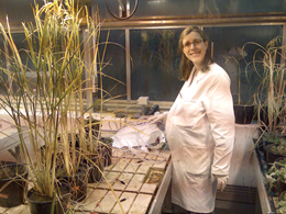 AngelaCabezas11's tweet photo. No soy muy fan de los “Días de…” pero voy a aprovechar este Día de la mujer y la niña en la ciencia para contar una experiencia personal. Quedé embarazada durante mi doctorado en un instituto Max Planck en Alemania. Sigue👇 https://t.co/MXiMq64lg2